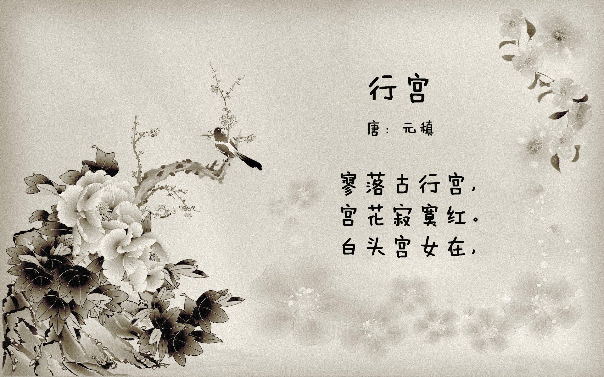 柯尔赞女子200米仰泳赛道亮点,200米仰泳比赛视频