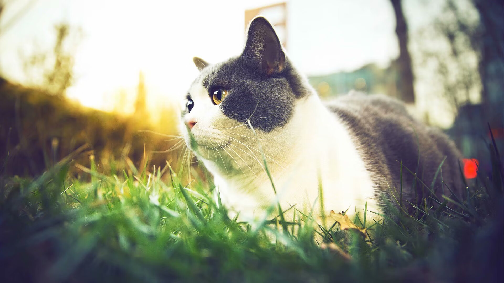 英超最火爆:逆境奋战,造就奇迹!,英超最善于逆转的球队