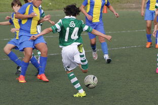 开云体育官网登入-中国足球市场品牌价值提升路径，中国足球市场品牌价值提升路径研究