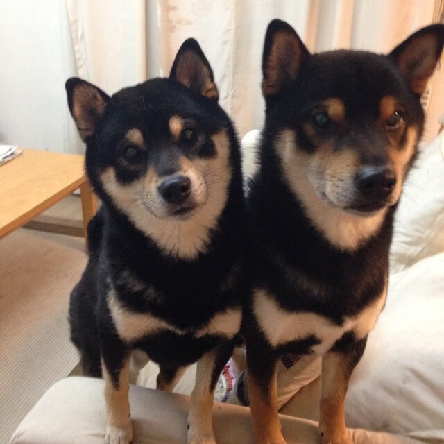 开云体育网址-中国足球联赛中球队青黄不接现象及应对策略，青黄不接现在的意思